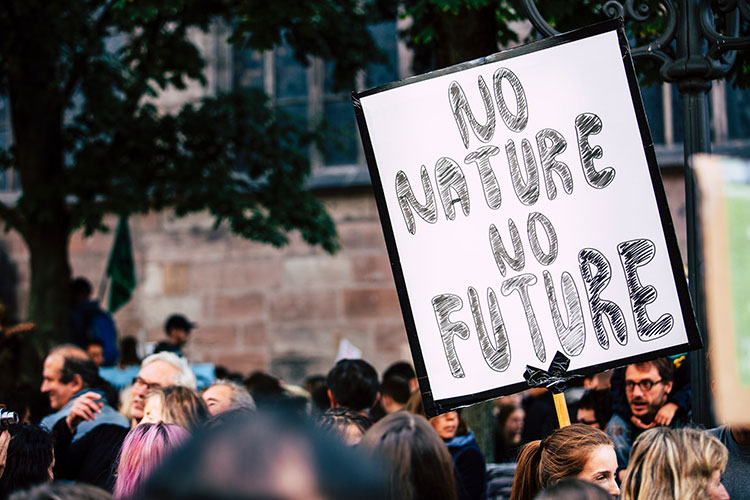 Person at environment rights protest holding sign saying no nature no future