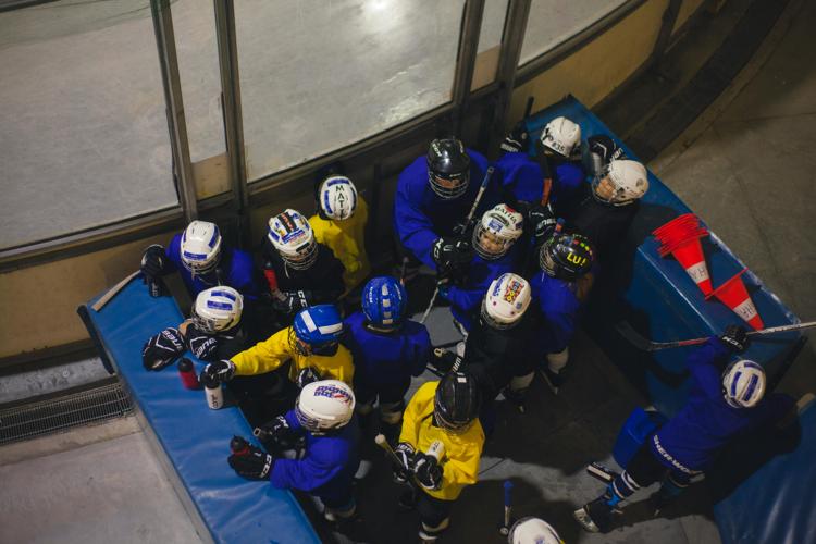 Ice Hockey Players in Box